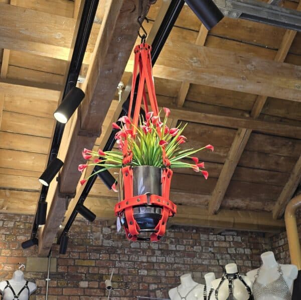 PURITAN CANDY - Pot Plant Hanger - Basic Bitch - Vegan